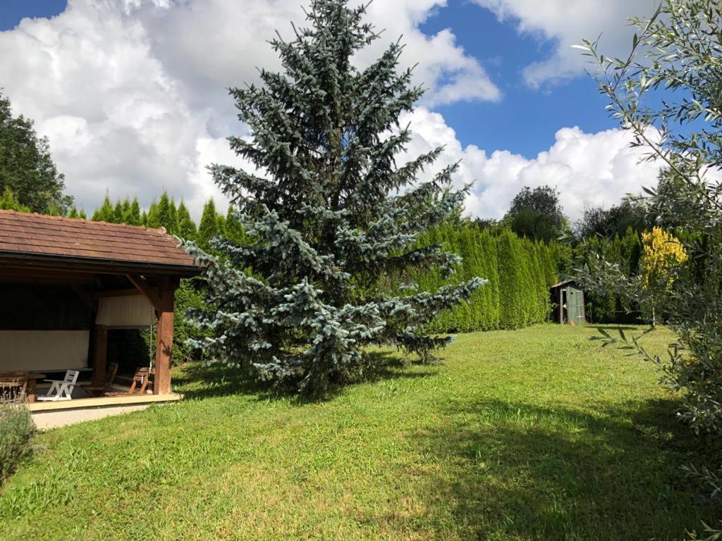 Maison/Gite Familial Dans Le Jura A 200M Du Lac Avec Piscine Privee Marigny  Luaran gambar