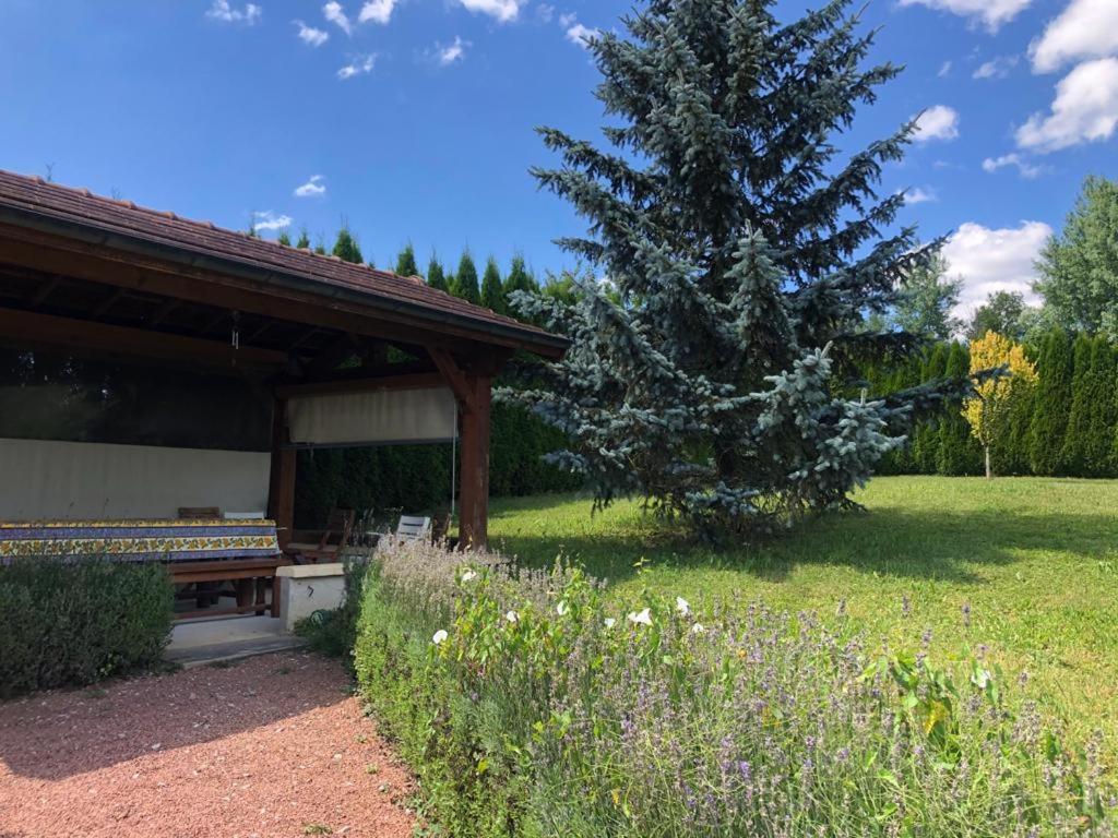 Maison/Gite Familial Dans Le Jura A 200M Du Lac Avec Piscine Privee Marigny  Luaran gambar