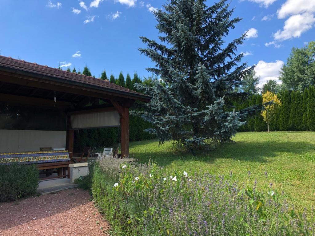 Maison/Gite Familial Dans Le Jura A 200M Du Lac Avec Piscine Privee Marigny  Luaran gambar